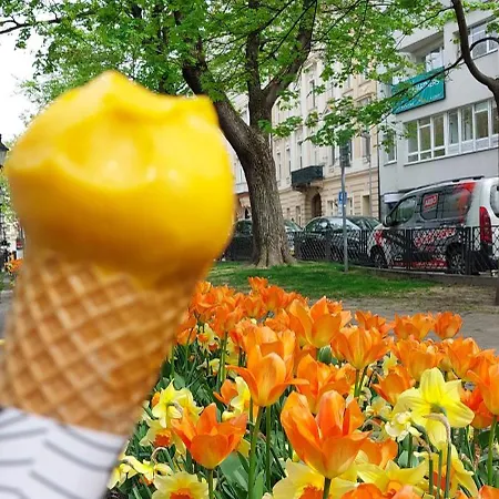 Sonnengarten *